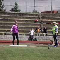 IMG 2611